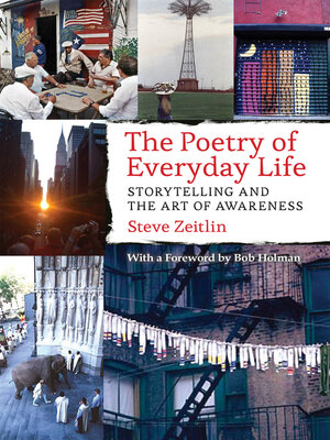 cover image of The Poetry of Everyday Life